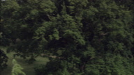 Burghley Park Trees Followed By Reveal Of Burghley House