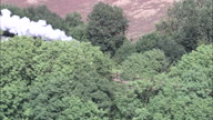 Steam Train On Great Central Railway Below Through Trees - Dark Steam