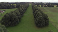 Hardwick Hall - Approach Through Long Avenue Of Trees An Below