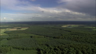 Forest And Directly Down - Clumber Park