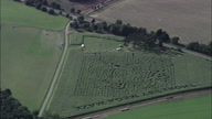 Maize Maze At Thorseby Hall - Mega Maze