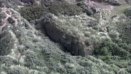 Ww Ii Coastal Artillery Hidden Beneath Ground And Grass