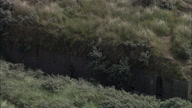 C/U Of Ww Ii Coastal Artillery Hidden Beneath Ground And Grass Then Pull Out On Beach