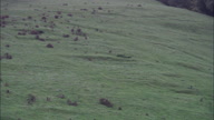 Leaving Wharram Percy Deserted Medieval Village - Low Shot