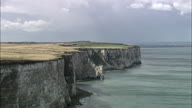Flamborough Head Cliffs And Bird Action