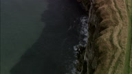 Flamborough Head Cliffs Directly Down Then Zoom In On Birds On Cliff
