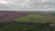 Wades Causeway Across N. Yorks Moor
