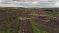 Wades Causeway Across N. Yorks Moor