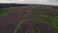 Wades Causeway Across N. Yorks Moor