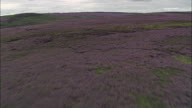 Over Heather On North York Moors