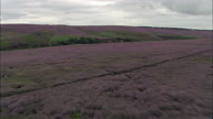 Wades Causeway Across N. Yorks Moor