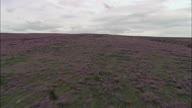 Wades Causeway Across N. Yorks Moor