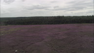 Wades Causeway Across N. Yorks Moor