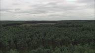 Wades Causeway Across N. Yorks Moor