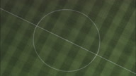 Newcastle Fc