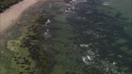 Northumberland Coast