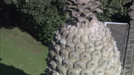 The Pineapple At Dunmore