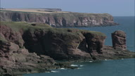 Arbroath Cliffs