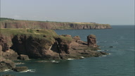 Arbroath Cliffs