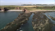 Colony Of Seagulls On Rocks, They Fly Away