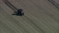 Tractor And Seagulls On Arbroath Coast