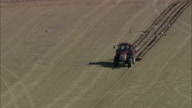 Tractor And Seagulls On Arbroath Coast