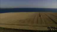 Ploughing Near The Coast