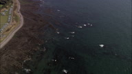 Coast North Of Montrose