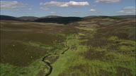 Up Cock Burn