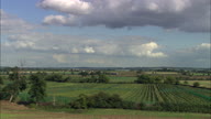 Vineyard Near Stratford