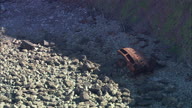 Old Wreck On Shoreline At Hartland Point