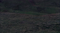 Running Stag On Exmoor