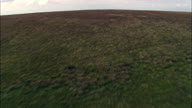 Exmoor Low