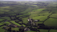 Lovely Back Lit Fields