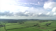 Lovely Back Lit Fields