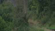 Steam Train On The West Somerset Railway