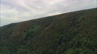 Exmoor Coastline With Forest Down To Shoreline