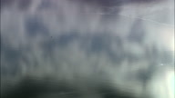 Exe Estuary With Refections In Water