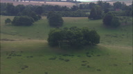 Petworth Park