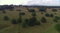 Petworth Park
