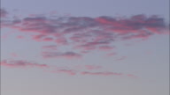 Pink Evening Clouds