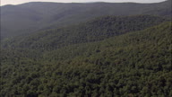 Great Forest Near Ripacndida