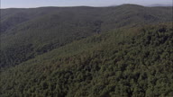 Great Forest Near Ripacndida
