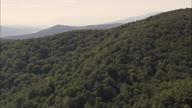 Great Forest Near Ripacndida