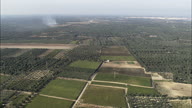 Cultivated Fields, Olive And Fruit Trees On Apulia Plans