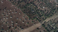 Top Down Cultivated Fields, Olive And Fruit Trees On Apulia Plans