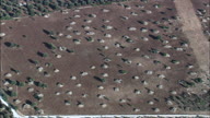 Zoom In Onto Apulian Fields