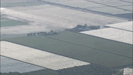 Polly Tunnels And Greenhouses Back Lit Near Taranto