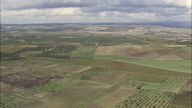 Flight Across Lemon Groves And Vineyards