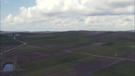 Flight Low Over Vineyards